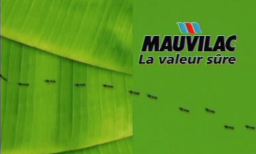 Mauvilac – Fourmis